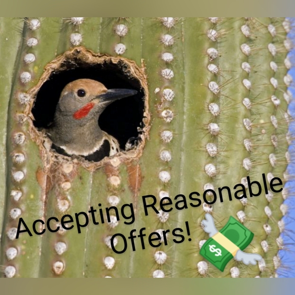 🆕 OLIVEVE ANTHROPOLOGY BLACK HORSEHAIR FOLDABLE LEATHER CLUTCH OFF WHITE DOTS - Picture 7 of 7